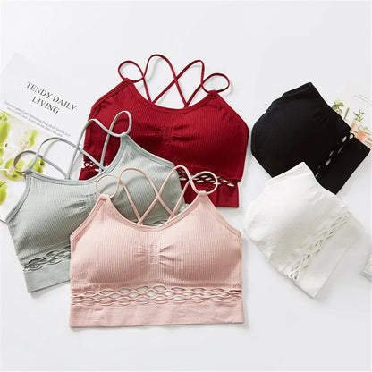 Hot Sales Tube Top Woman Bra Sexy Lingerie Female Fitness Top