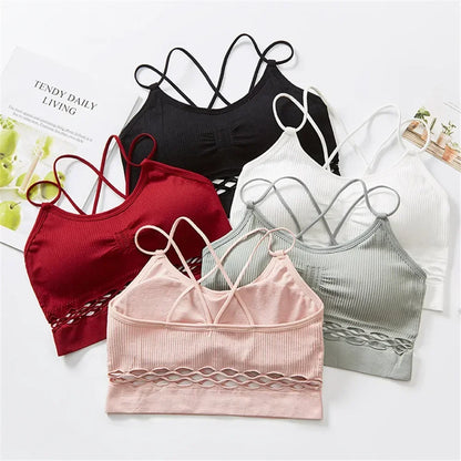 Hot Sales Tube Top Woman Bra Sexy Lingerie Female Fitness Top